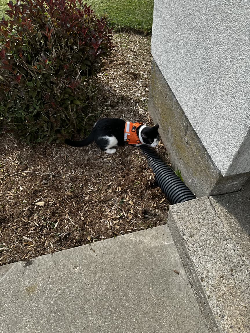 Switch inspecting a pipe along the building exterior