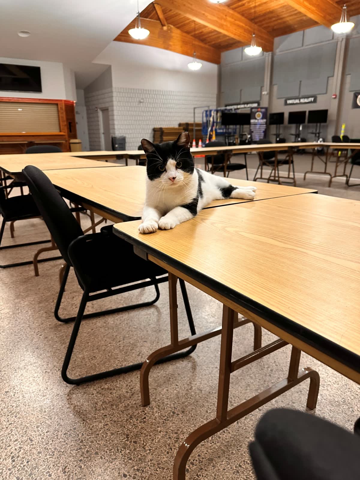 Switch lying across the training hall tables
